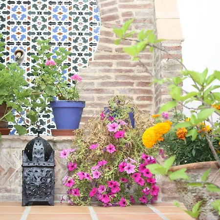 Guest house El Cobijo De Vejer